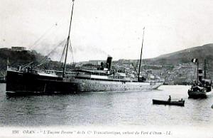 PO e- 331